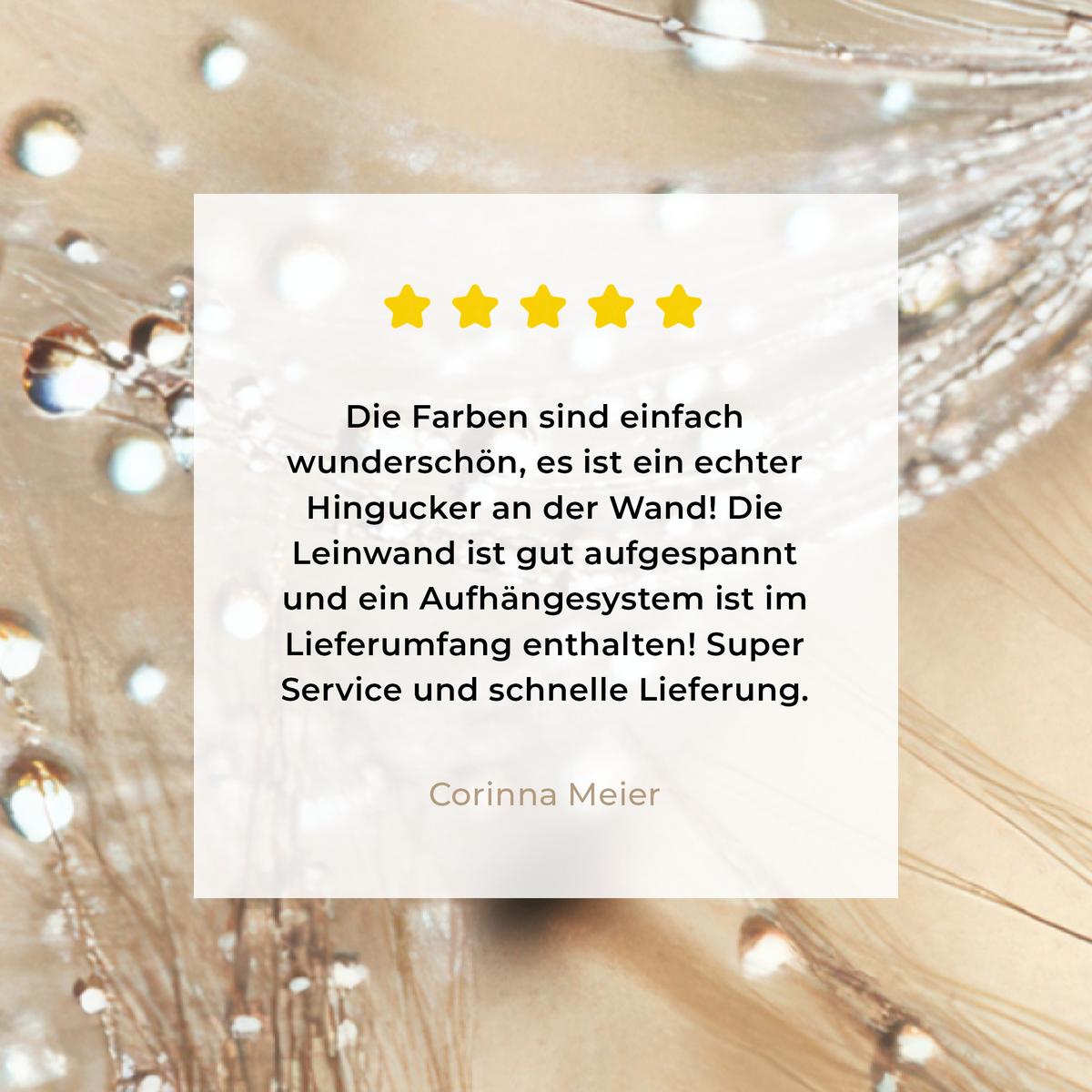 LEINWANDBILD Löwenzahn - Abstrakt - Natur - Beige Deko Groß 90x140 cm - Braun, Textil (90/140cm) - MuchoWow