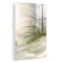 ACRYLGLASBILD Dünen mit Strandhafer in der Sonne des Nationalparks Schleswig-Holsteinisches Wattenmeer 80x120 cm - Creme, Glas (80/120cm) - MuchoWow