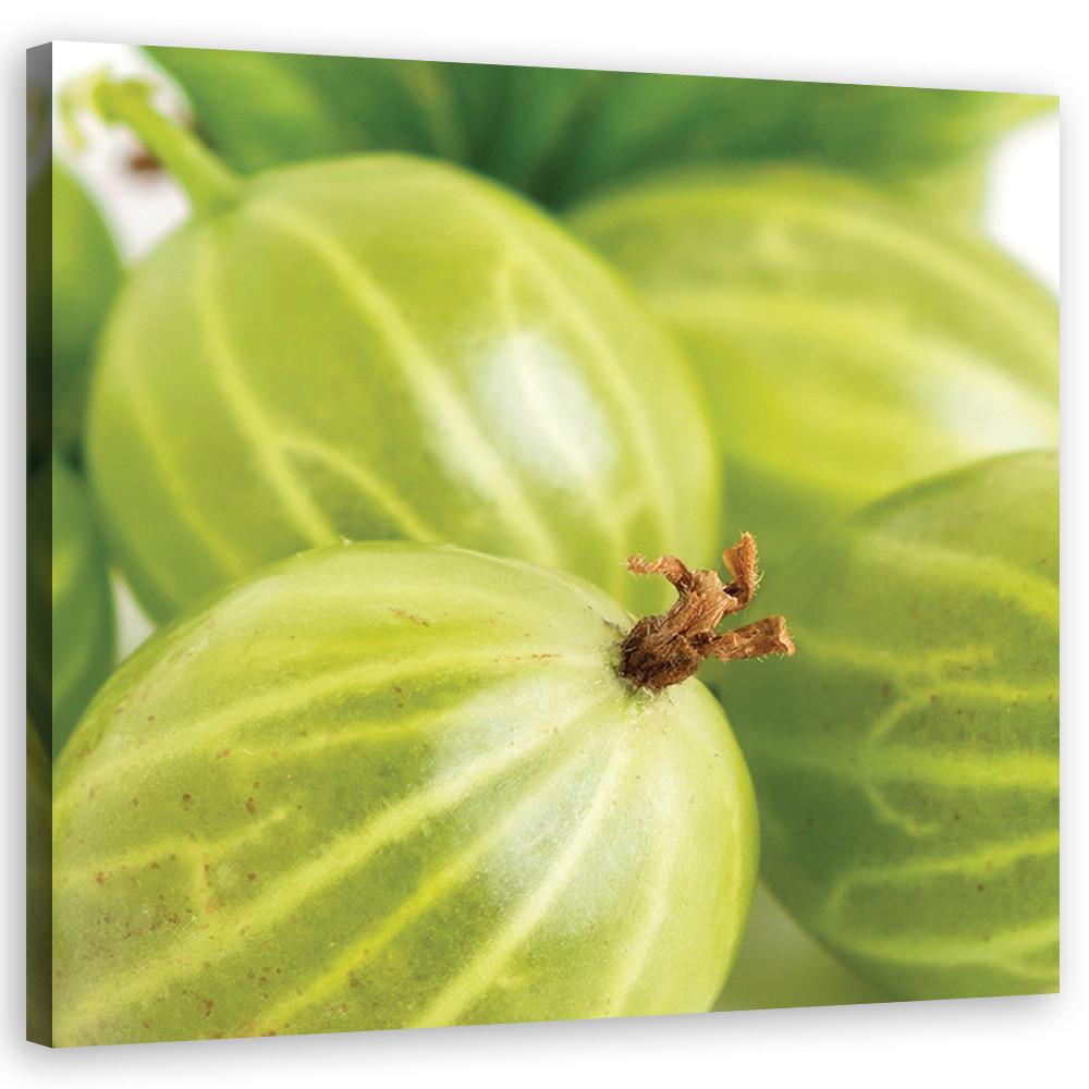 WANDBILD stachelbeeren obst - Grün, Textil (40/40cm) - Feeby