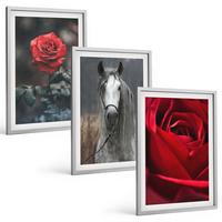 BILDER SET 3er Set - 40x60 cm Silberner Rahmen - Rote Rosen, Pferdegrau, Welt - Silberfarben, Kunststoff (40/60cm) - TULUP
