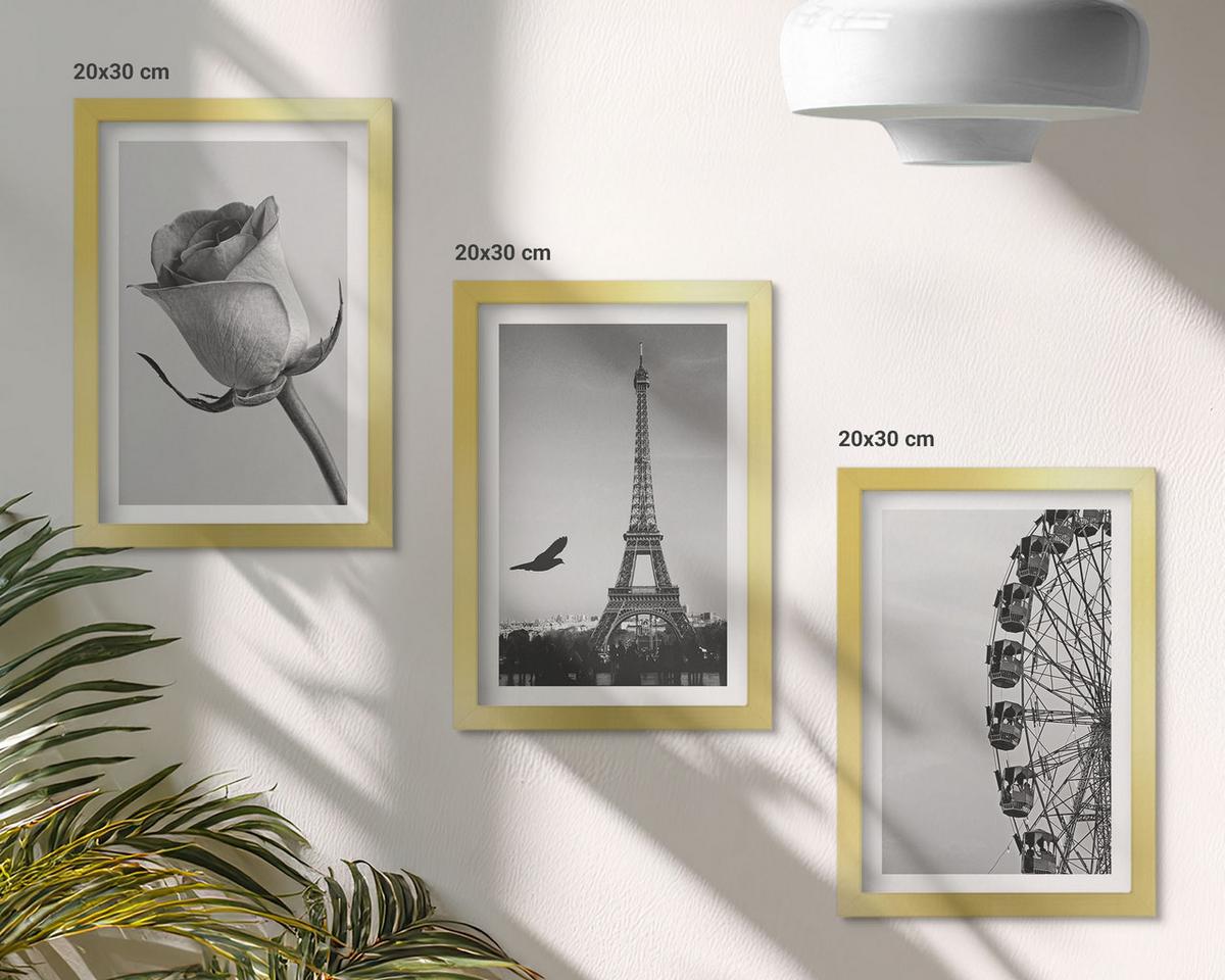BILDER SET 3er Set - 20x30 cm Goldrahmen - Rose Eiffelturm Riesenrad - Goldfarben, Kunststoff (20/30cm) - TULUP