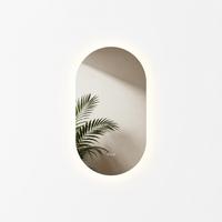 BADSPIEGEL oval mit LED-Beleuchtung 50 x 90 cm Antibeschlag - Transparent, Glas (50/90/2.5cm) - EMKE