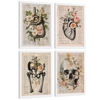 POSTER Set aus 4 Anatomie Mensch Botanische Drucke und mit Organen Herz Verdauungssystem Schädel und Becken Heimdekoration Größe Weißer Rahmen A3 - Weiß, Papier (29.7/42/3cm) - Nacnic
