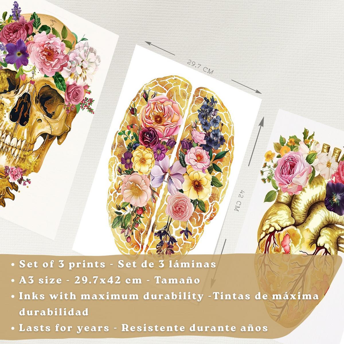POSTER Set aus 3 Anatomie Mensch Drucke und mit Schädel Gehirn und Herz Goldene Florale Künstlerische Illustration Größe Leichter Holzrahmen A3 - Beige, Papier (29.7/42/3cm) - Nacnic