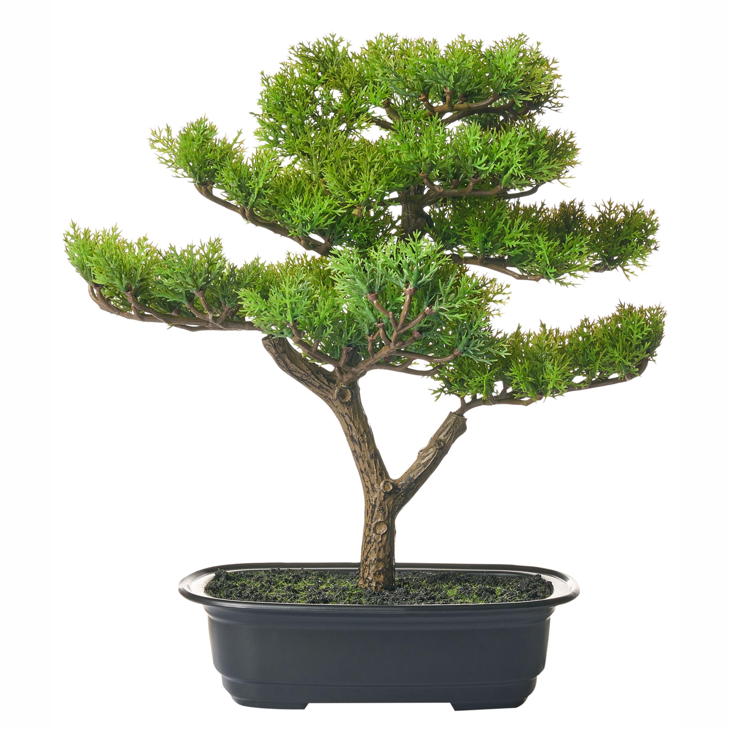 KUNSTPFLANZE im Blumentopf 37 cm Grün Pine - Schwarz/Grün, Kunststoff (37cm) - Beliani