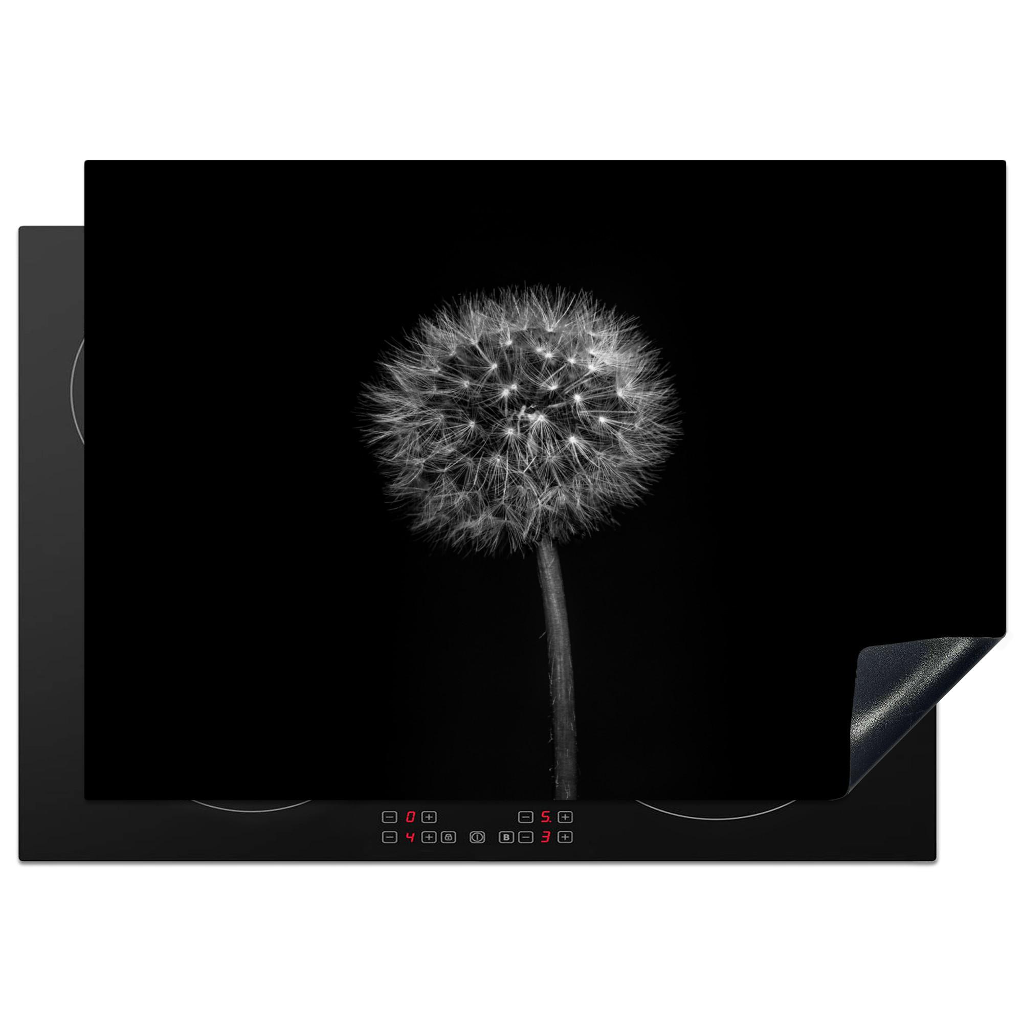 HERDABDECKPLATTE Löwenzahn - Schwarz - Floral - Botanisch Herdabdeckung Induktionsfeld 75x52 cm - Grau, Kunststoff (75/52/0.2cm) - MuchoWow