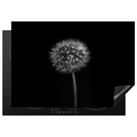 HERDABDECKPLATTE Löwenzahn - Schwarz - Floral - Botanisch Herdabdeckung Induktionsfeld 75x52 cm - Grau, Kunststoff (75/52/0.2cm) - MuchoWow