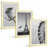 BILDER SET 3er Set - 40x60 cm Goldrahmen - Rose Eiffelturm Riesenrad - Goldfarben, Kunststoff (40/60cm) - TULUP