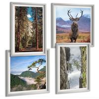 BILDER SET 4er Set - 50x50 cm & 40x60 cm Silberner Rahmen - Straße Wald Berge Hirsch Natur - Silberfarben, Kunststoff (50/50cm) - TULUP