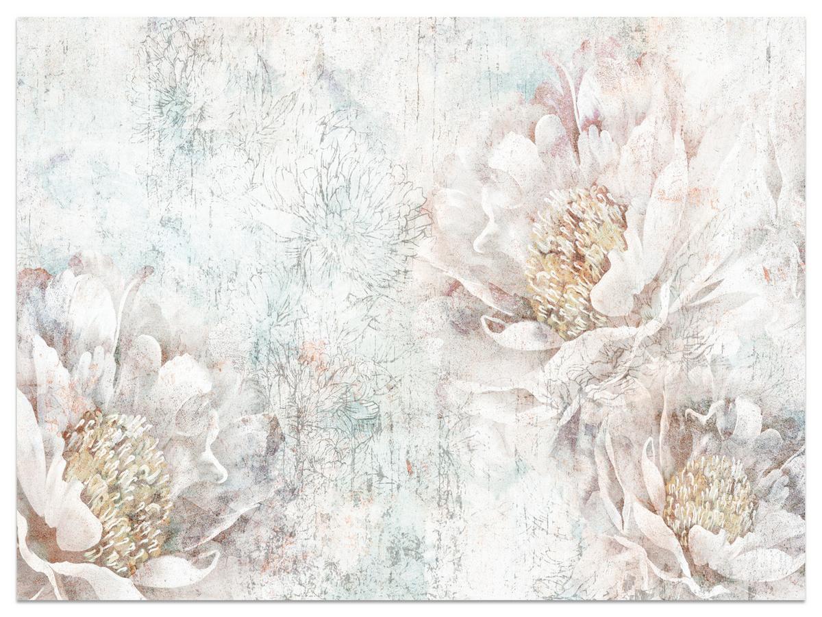 FOTOTAPETE für Büro Pfingstrosen Blumen Beton Vintage 250x175 - Gelb/Rosa, Papier (250/175cm) - Muralo