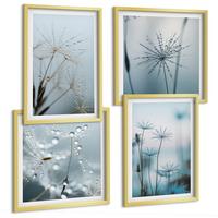 BILDER SET 4er Set - 50x50 cm & 40x60 cm Goldrahmen - Löwenzahn-Wassertropfen - Goldfarben, Kunststoff (50/50cm) - TULUP