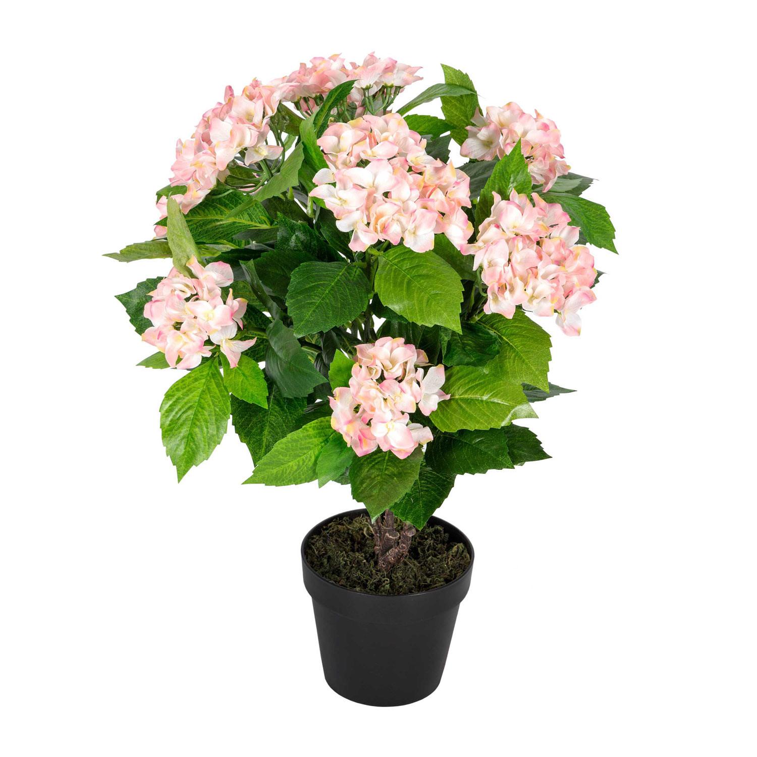KUNSTBLUME Hortensien rosa, 70 cm - Rosa, Kunststoff (70cm) - Homescapes