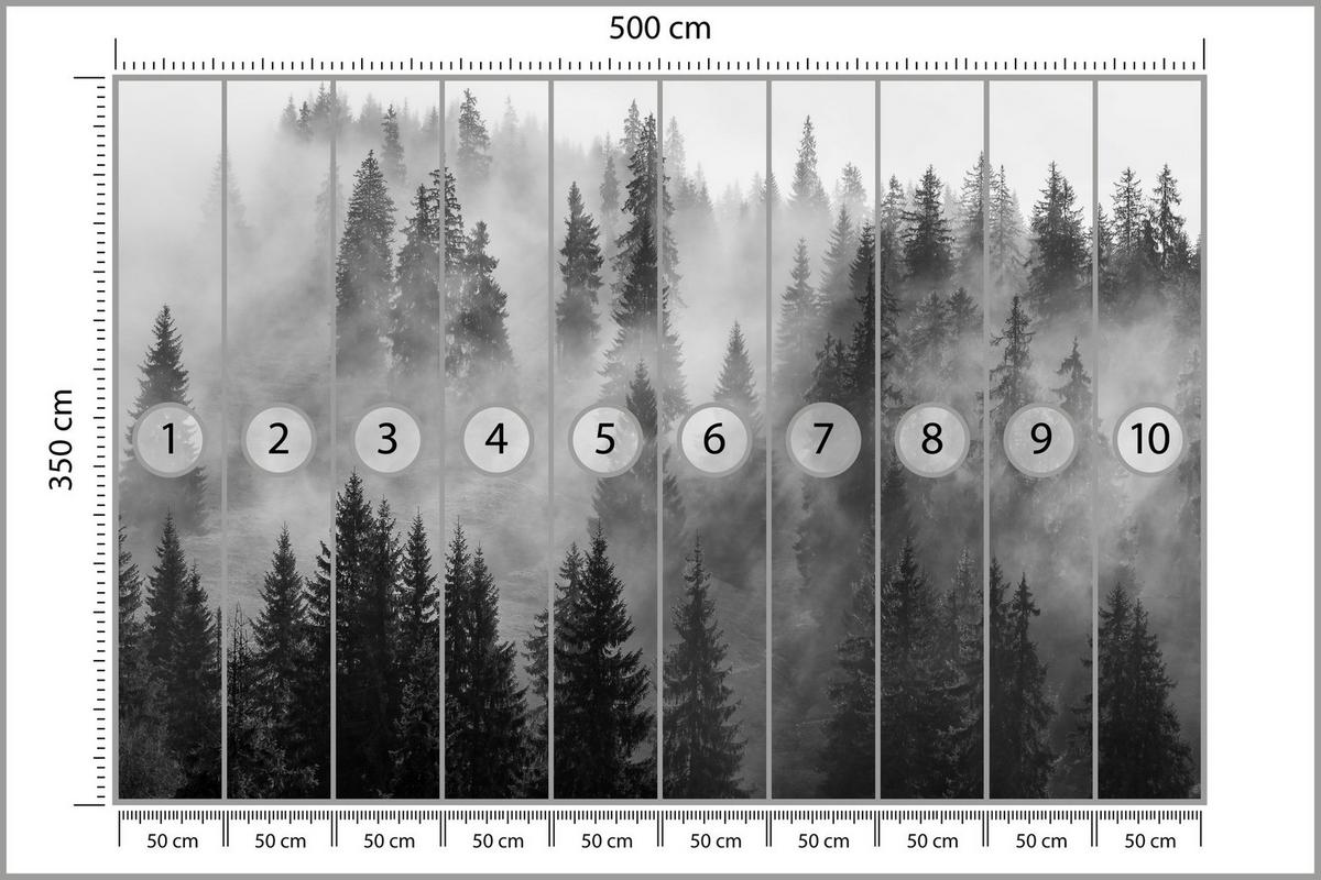 FOTOTAPETE Schwarz-weißer Wald im Nebel Natur 500x350 - Schwarz/Grau, Papier (500/350cm) - Muralo