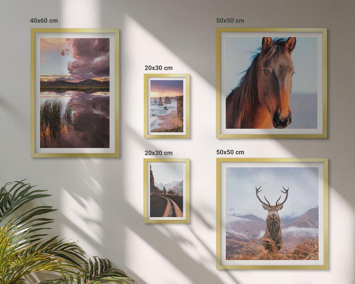 BILDER SET 5er Set - 50x50 cm & 20x30 cm & 40x60 cm Goldrahmen - Berglandschaften, Rentiere, Pferdestraße - Goldfarben, Kunststoff (40/60cm) - TULUP