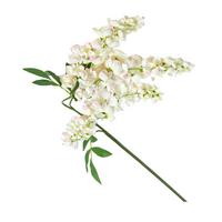 DEKOZWEIG Blauregen creme, 92 cm - Creme, Kunststoff (92cm) - Homescapes