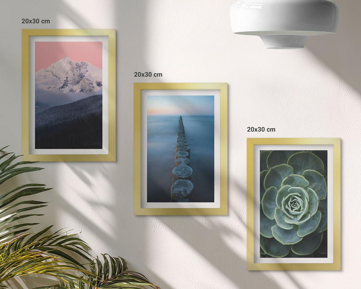BILDER SET 3er Set - 20x30 cm Goldrahmen - Berge, rosa Himmel, Wasser, Sukkulente - Goldfarben, Kunststoff (20/30cm) - TULUP