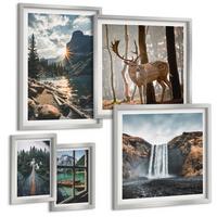 BILDER SET 5er Set - 50x50 cm & 20x30 cm & 40x60 cm Silberner Rahmen - Blumenarrangements in Vasen - Silberfarben, Kunststoff (40/60cm) - TULUP