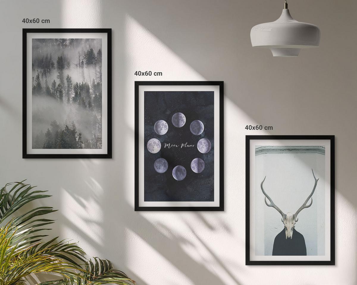 BILDER SET 3er Set - 40x60 cm Schwarzer Rahmen - Waldlandschaft, Nebel, Mond, Hirschschädel - Schwarz, Kunststoff (40/60cm) - TULUP