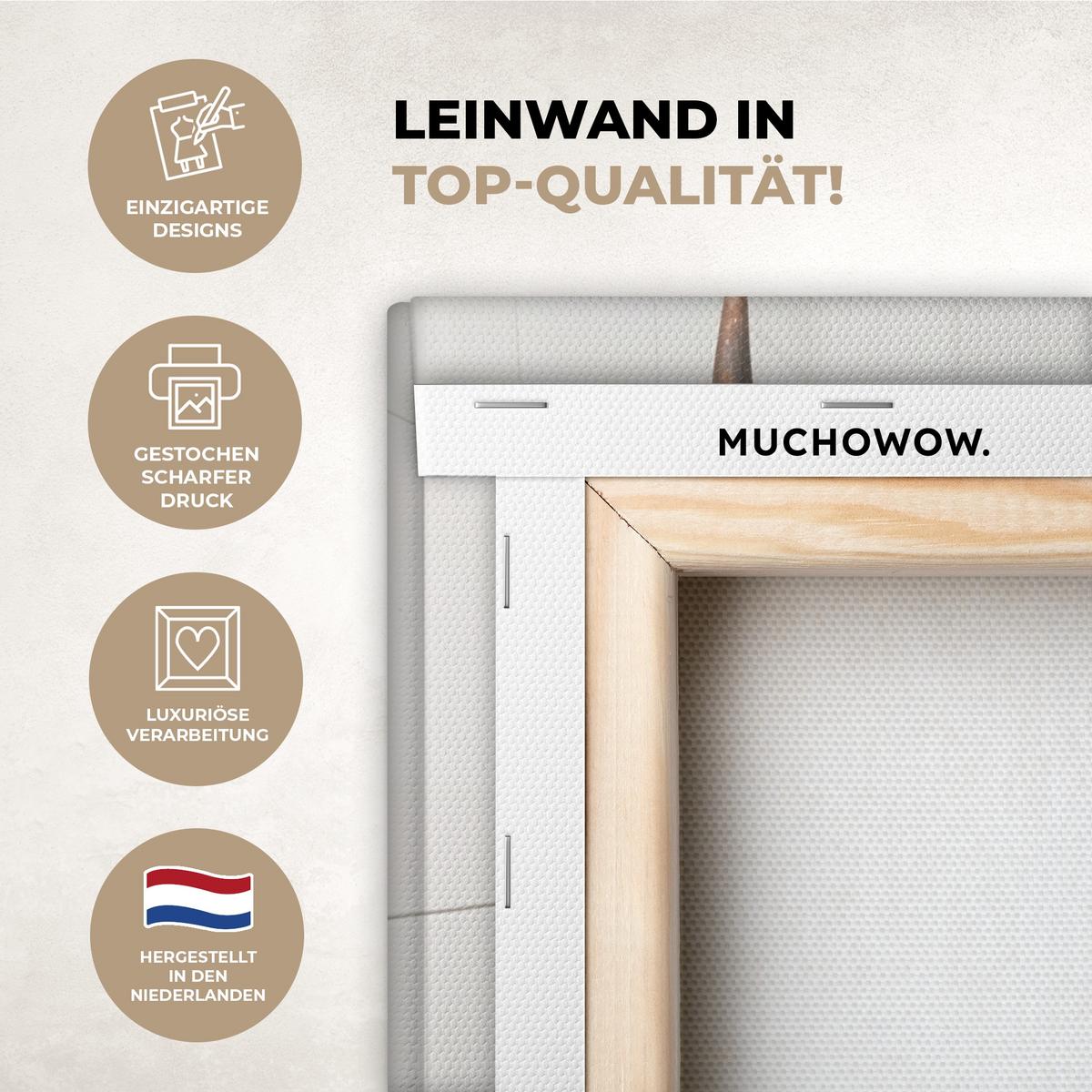 LEINWANDBILD Schottischer Highlander - Tier - Zeitung - Toilette Wandbild 40x30 cm - Kastanienfarben, Textil (40/30cm) - MuchoWow