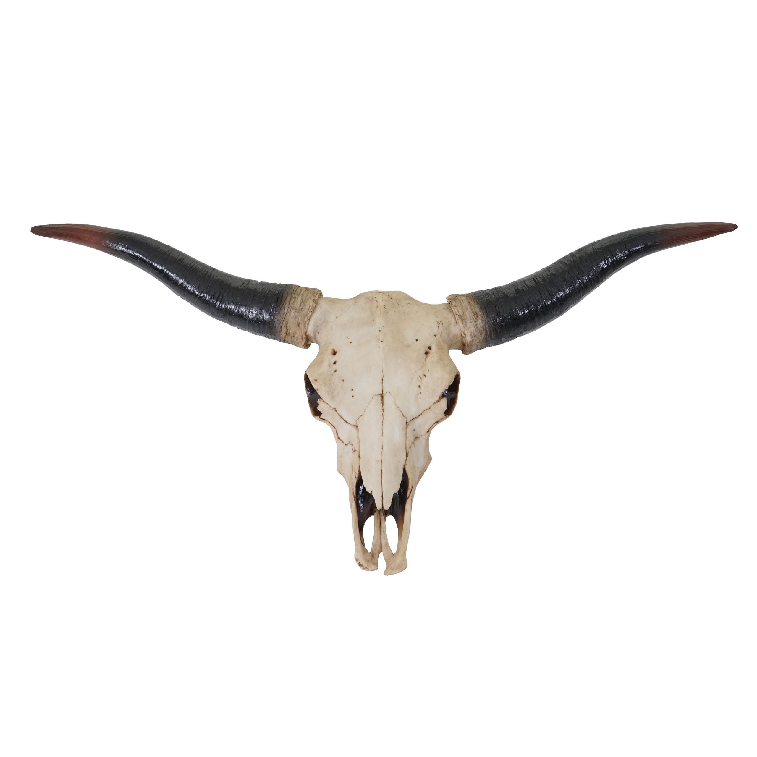 DEKO SCHÄDEL LONGHORN Beige - Beige, Stein (75/37/12cm) - MCW