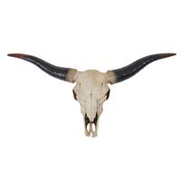 DEKO SCHÄDEL LONGHORN Beige - Beige, Stein (75/37/12cm) - MCW