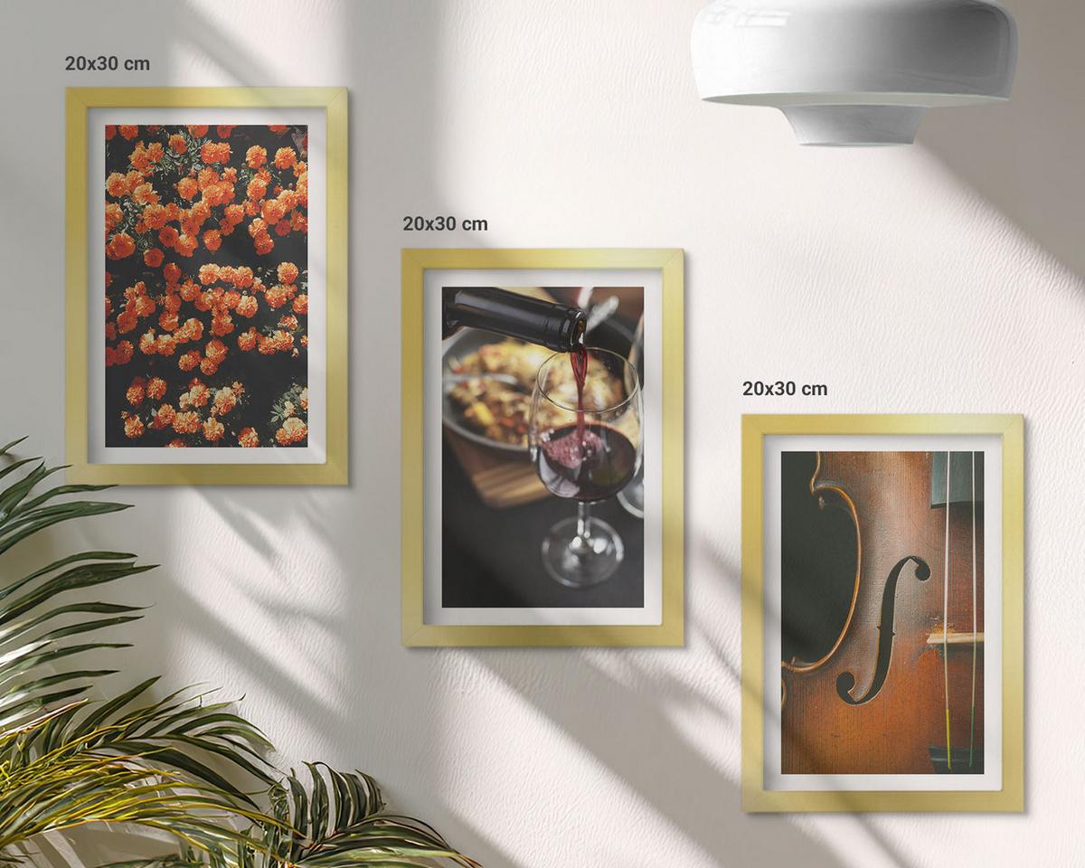 BILDER SET 3er Set - 20x30 cm Goldrahmen - Vintage Blumen Wein Geige - Goldfarben, Kunststoff (20/30cm) - TULUP