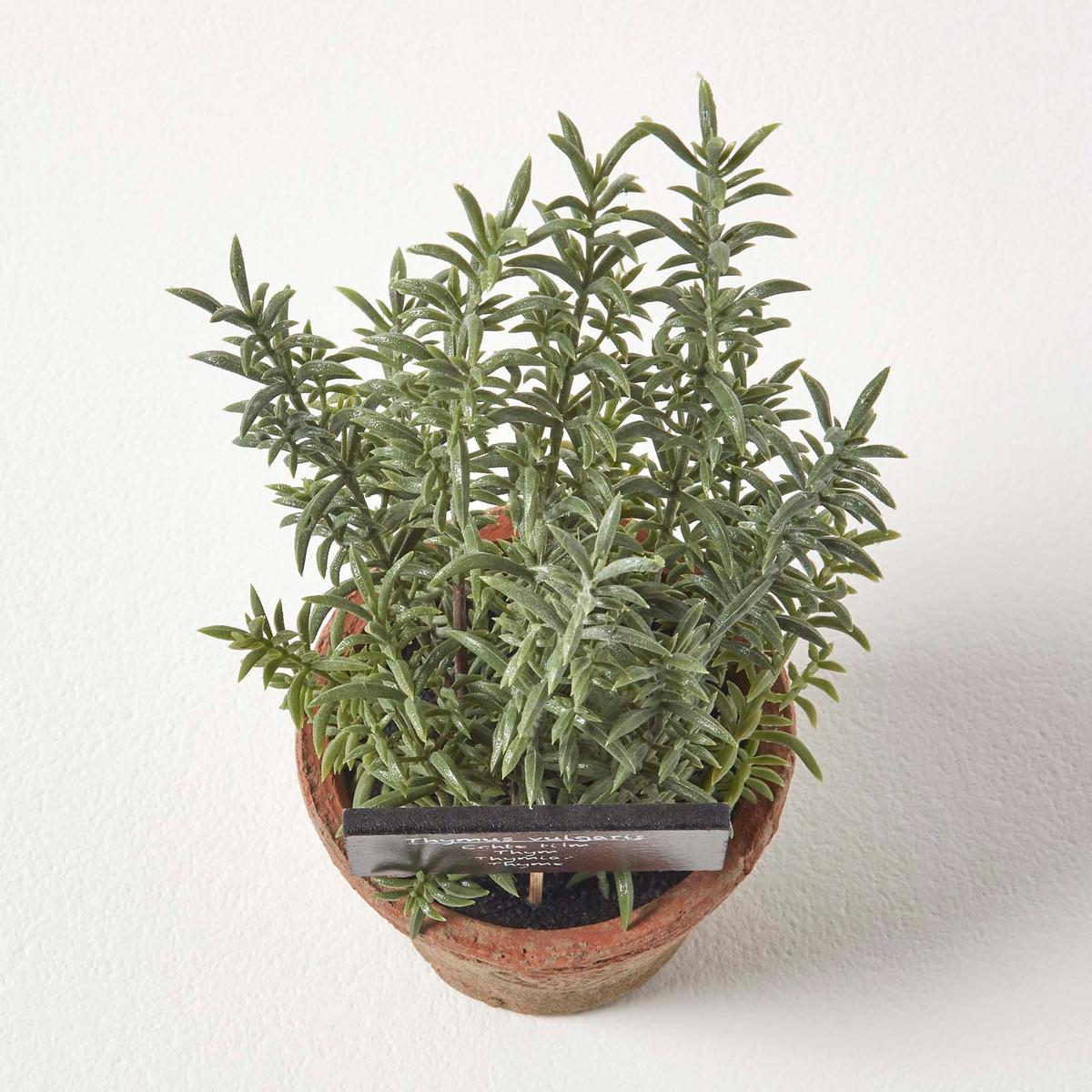 KUNSTPFLANZE Thymian im Terrakotta-Topf, 16 cm - Grün, Kunststoff (16cm) - Homescapes