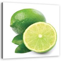 WANDBILD limette obst - Grün, Textil (40/40cm) - Feeby