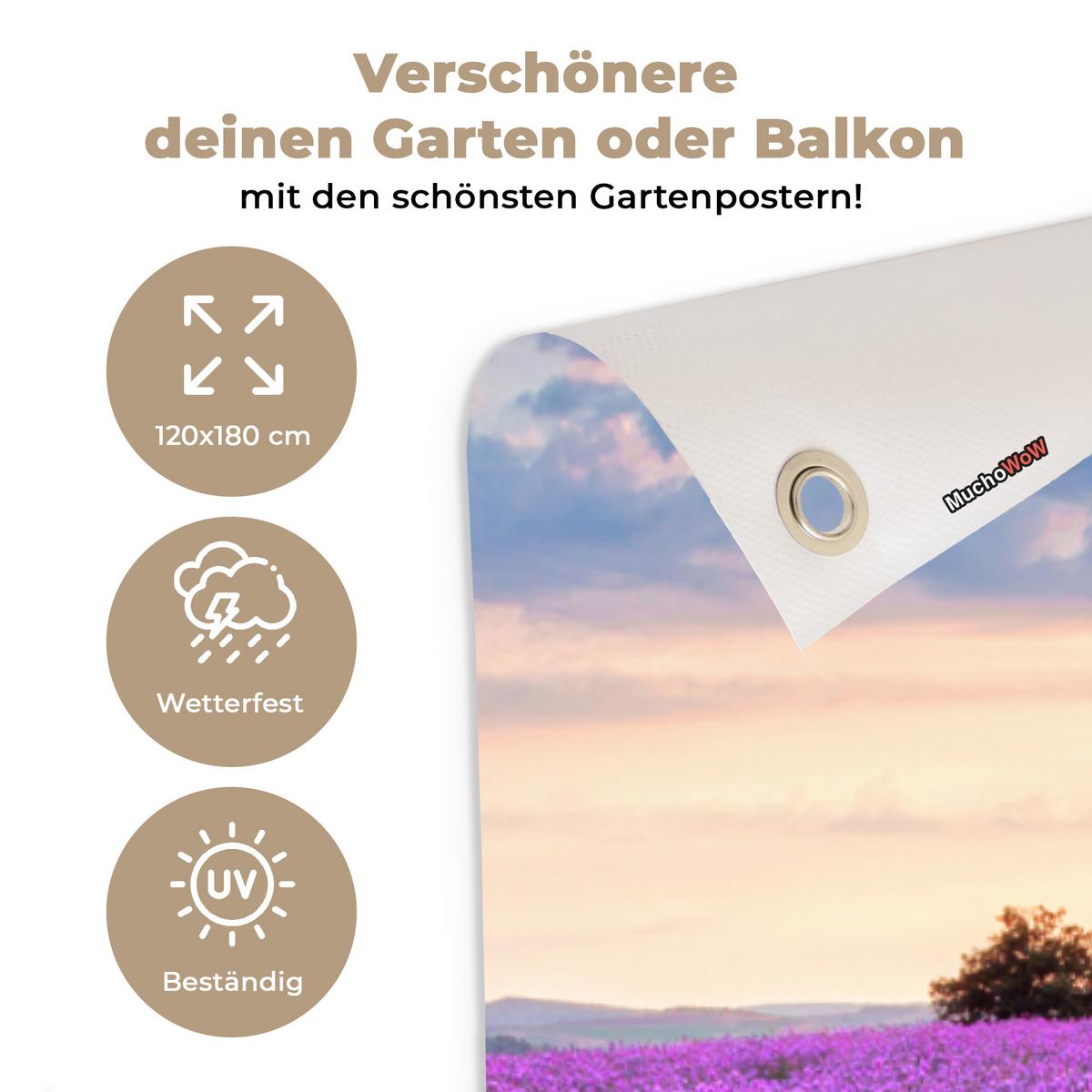 GARTENPOSTER Blumen - Lavendel - Lila - Himmel - Sonnenuntergang - Wiese - Natur Bild 120x180 cm - Flieder, Kunststoff (120/180/0.2cm) - OnlyWow