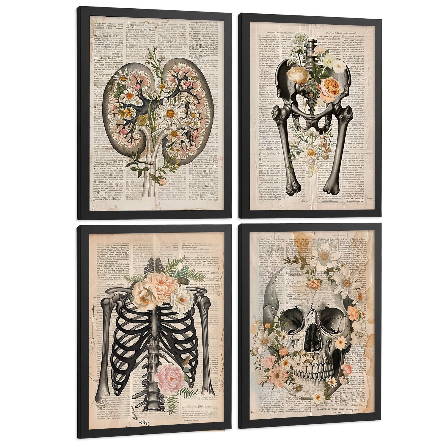 POSTER Set aus 4 Anatomie Drucke und Wandbilder mit Nieren Becken Knochen Hüfte Rippen Wirbelsäule Schädel Antiker Buch Stil Größe Schwarzer Rahmen A4 - Schwarz, Papier (21/29.7/3cm) - Nacnic