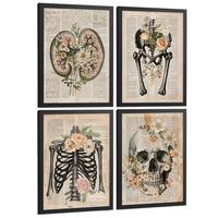 POSTER Set aus 4 Anatomie Drucke und Wandbilder mit Nieren Becken Knochen Hüfte Rippen Wirbelsäule Schädel Antiker Buch Stil Größe Schwarzer Rahmen A4 - Schwarz, Papier (21/29.7/3cm) - Nacnic