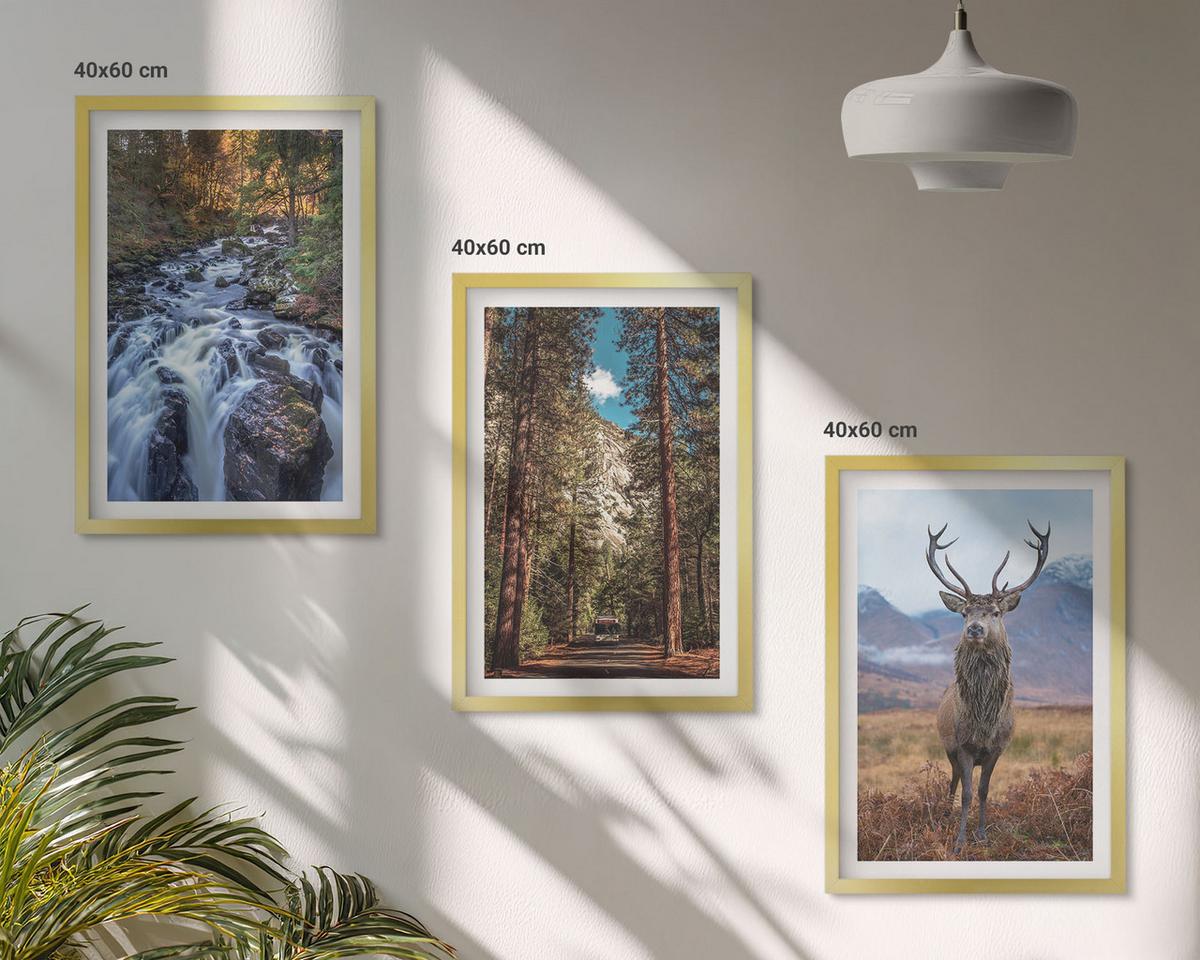 BILDER SET 3er Set - 40x60 cm Goldrahmen - Wasserfall Wald Berge Hirsch Natur - Goldfarben, Kunststoff (40/60cm) - TULUP