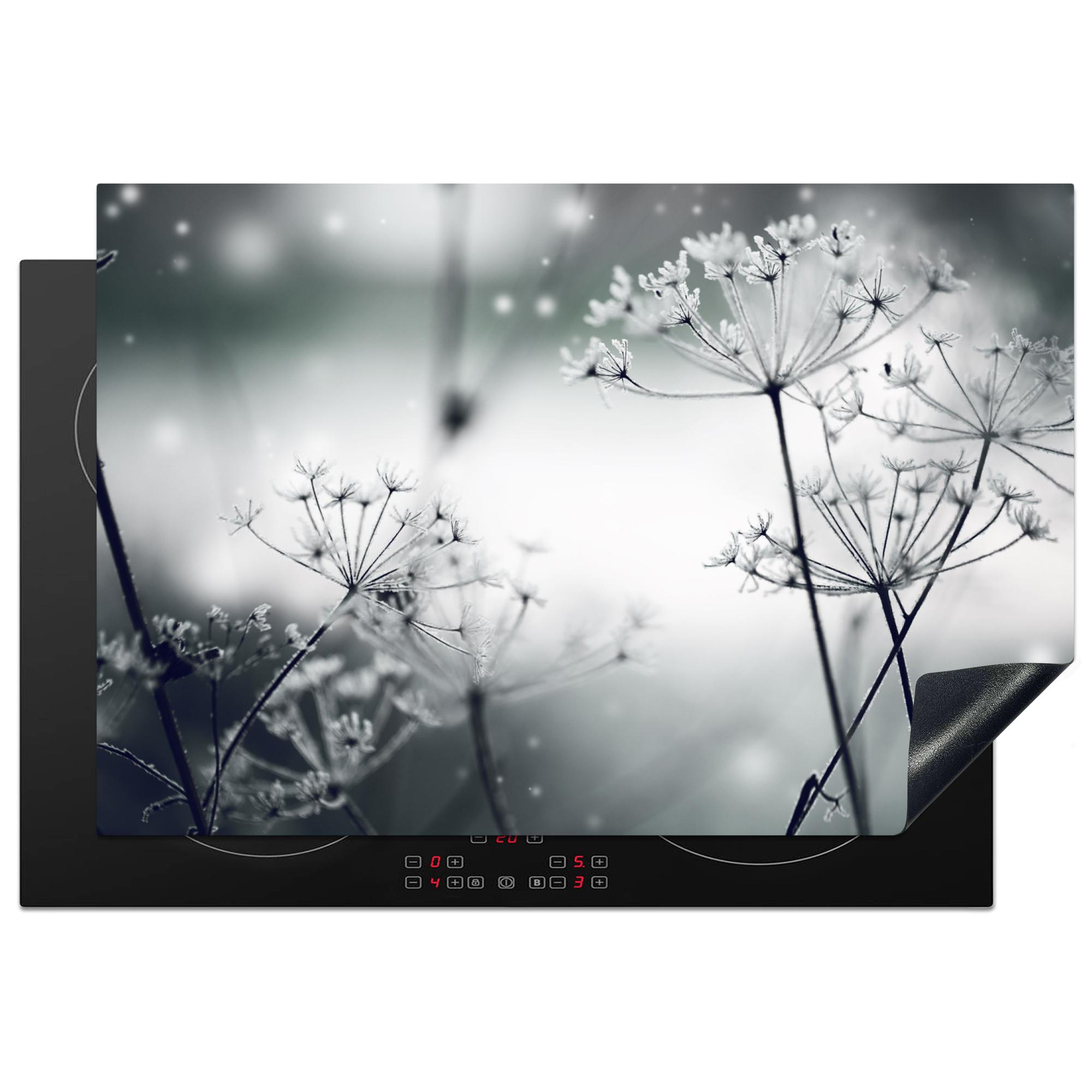 HERDABDECKPLATTE Blumen - Winter - Schnee - Natur Ceranfeldabdeckung 78x52 cm - Grau, Kunststoff (78/52/0.2cm) - MuchoWow