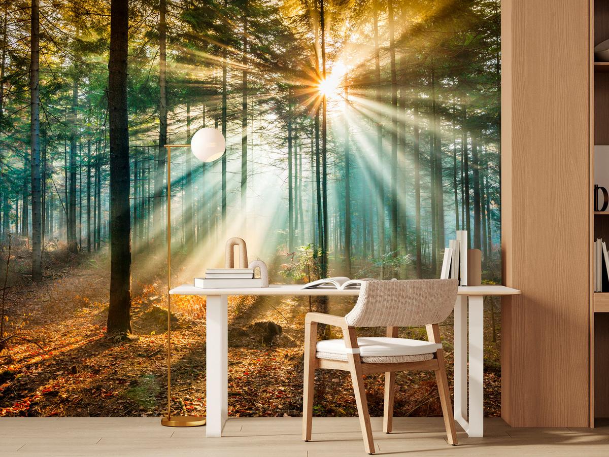 FOTOTAPETE für Wohnzimmer Herbstwald Sonnenuntergang Bäume Natur 300x210 - Beige/Gelb, Papier (300/210cm) - Muralo