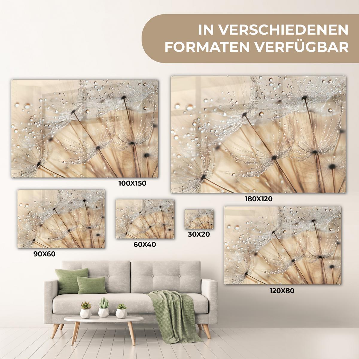 ACRYLGLASBILD Löwenzahn - Abstrakt - Natur - Beige Wandbild Schlafzimmer 120x80 cm - Braun, Glas (120/80cm) - MuchoWow