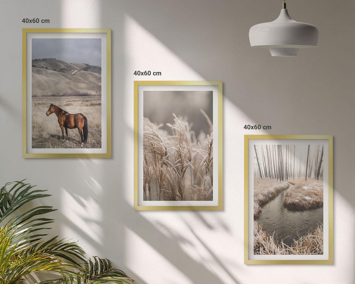BILDER SET 3er Set - 40x60 cm Goldrahmen - Pferde, Landschaft, Gras, Bach - Goldfarben, Kunststoff (40/60cm) - TULUP