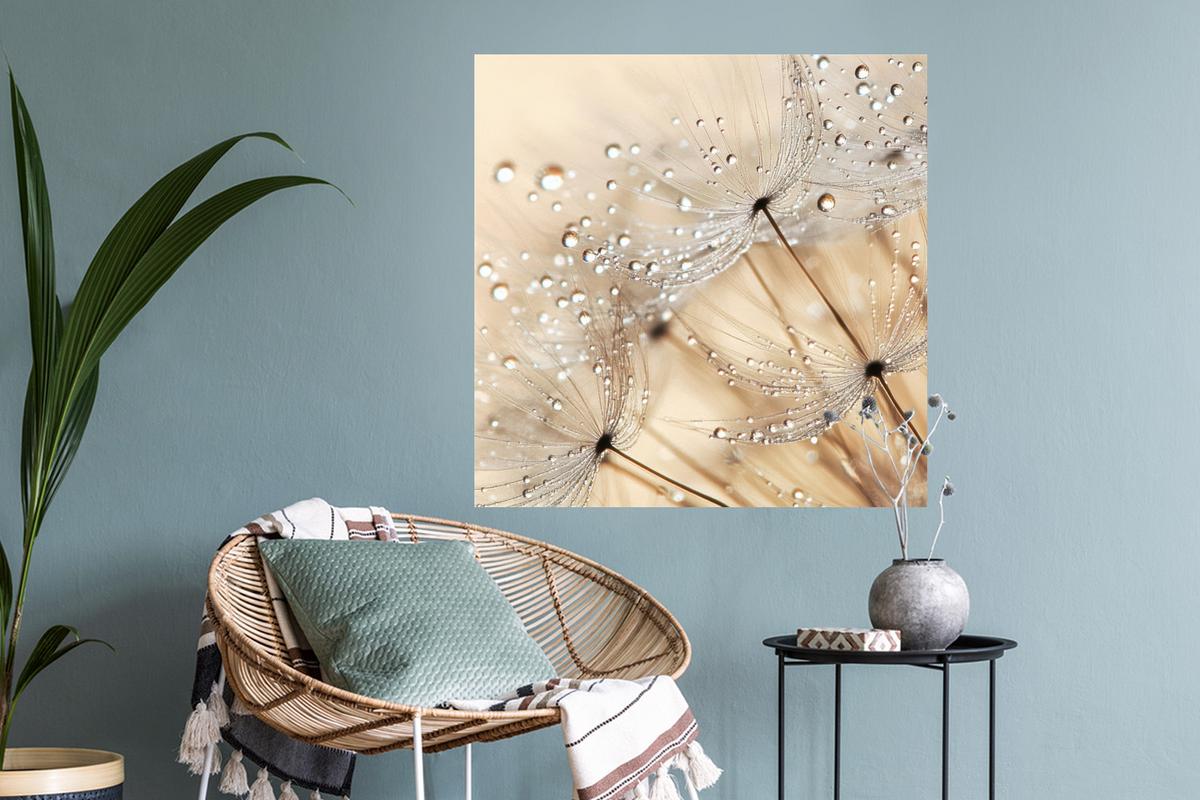 WANDTATTOO Löwenzahn - Abstrakt - Natur - Beige Wanddeko 50x50 cm - Braun, Kunststoff (50/50/0.1cm) - MuchoWow