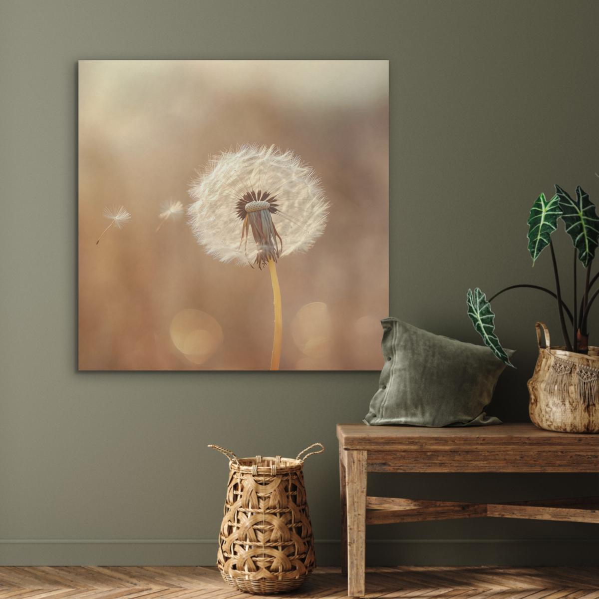 AKUSTIKBILD Löwenzahn - Beige - Natur - Blume Akustikpaneele 90x90 cm - Hellbraun, Kunststoff (90/90/0.9cm) - MuchoWow