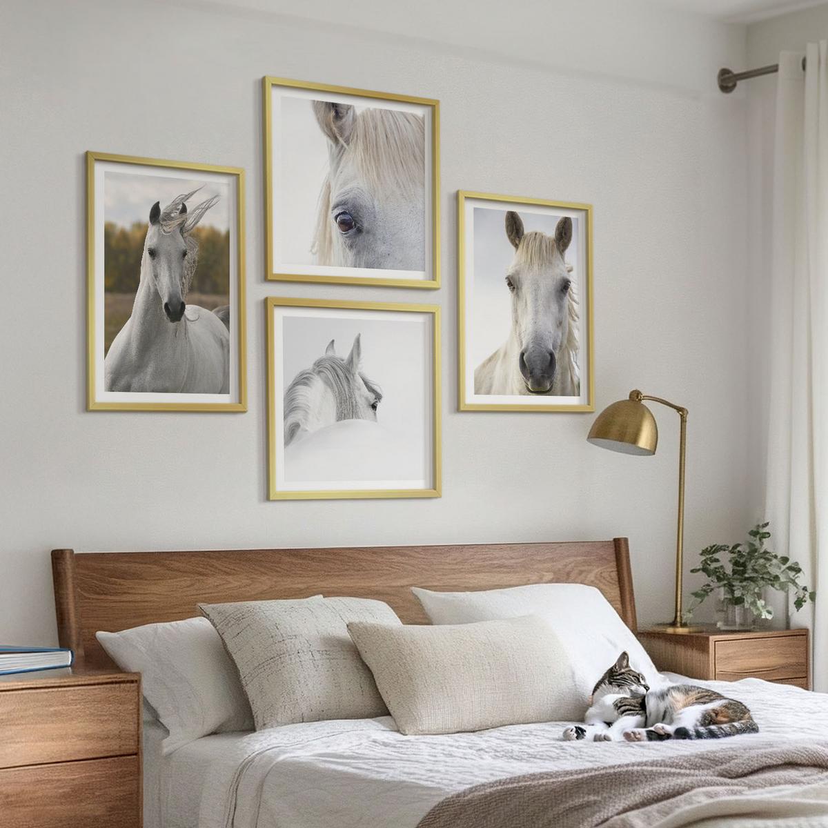 BILDER SET 4er Set - 50x50 cm & 40x60 cm Goldrahmen - Weiße Pferde - Goldfarben, Kunststoff (50/50cm) - TULUP