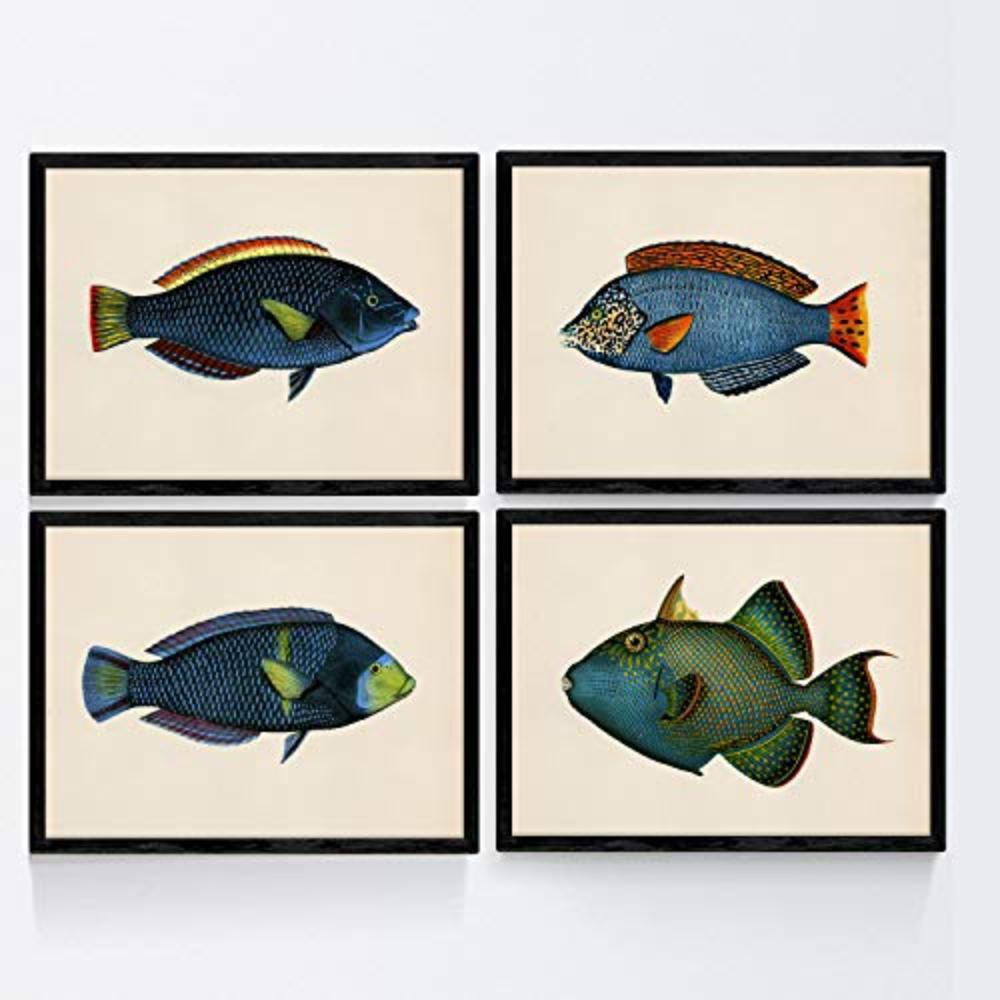 POSTER Set mit 4 Fischwirkung Jahrgang grüner blauer Ton A3 Schwarzer Rahmen - Schwarz, Papier (29.7/3cm) - Nacnic