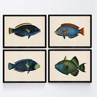 POSTER Set mit 4 Fischwirkung Jahrgang grüner blauer Ton A3 Schwarzer Rahmen - Schwarz, Papier (29.7/3cm) - Nacnic