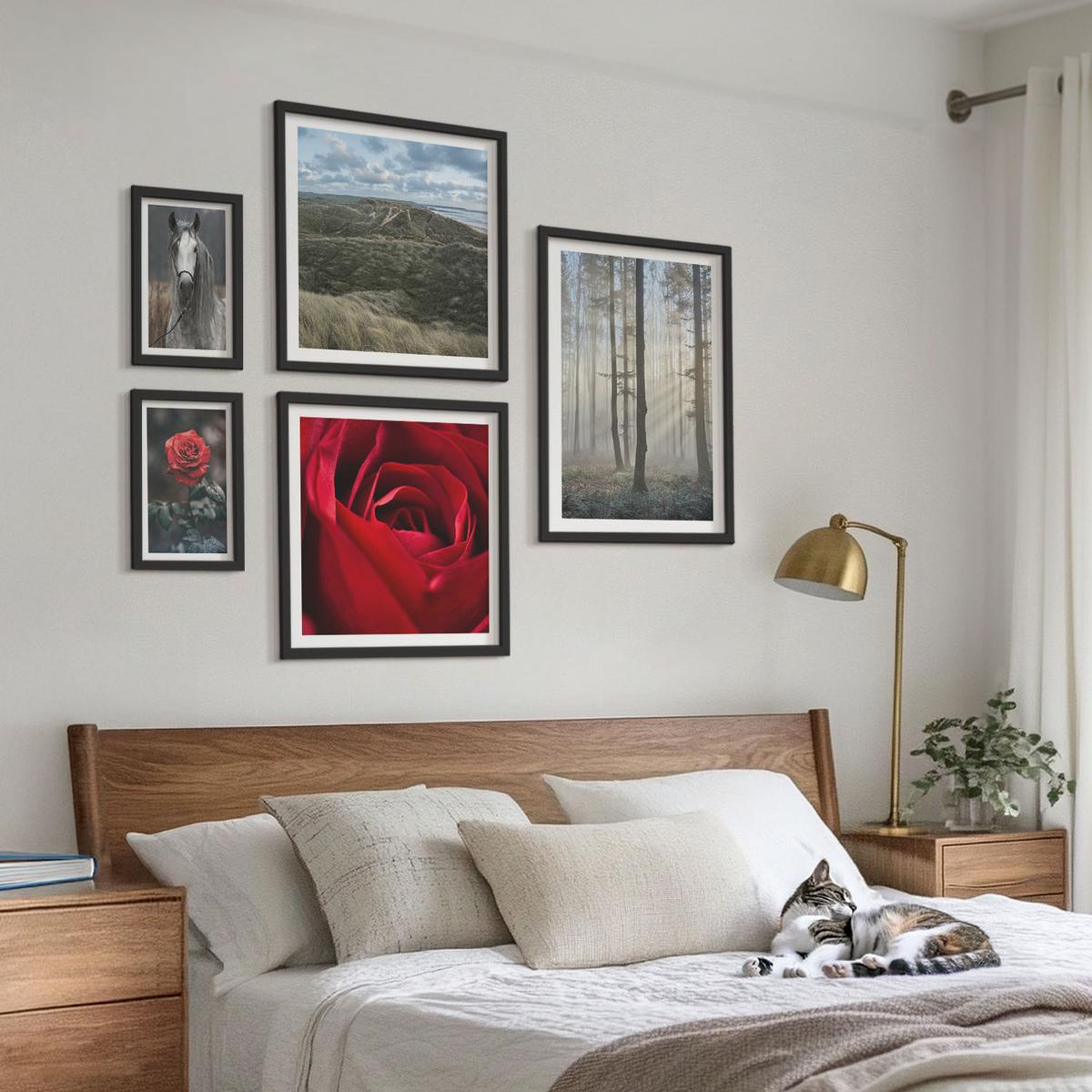 BILDER SET 5er Set - 50x50 cm & 20x30 cm & 40x60 cm Schwarzer Rahmen - Rote Rosen auf pferdegrauem Hintergrund - Schwarz, Kunststoff (40/60cm) - TULUP