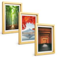 BILDER SET 3er Set - 20x30 cm Goldrahmen - Fuji-Bambuswaldlandschaft - Goldfarben, Kunststoff (20/30cm) - TULUP
