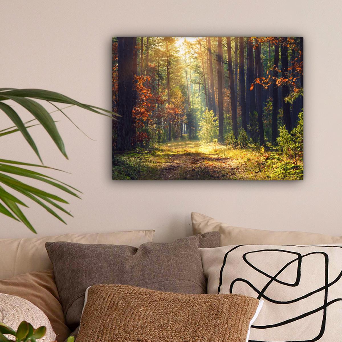 LEINWANDBILD Wald - Herbst - Bäume Wandbild 40x30 cm - Dunkelgrün, Textil (40/30cm) - MuchoWow