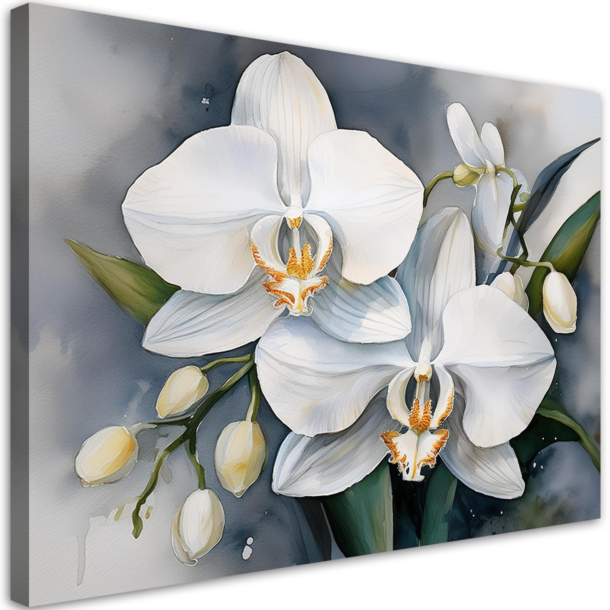 WANDBILD orchideenblüte abstrakt - Weiß, Textil (60/40cm) - Feeby