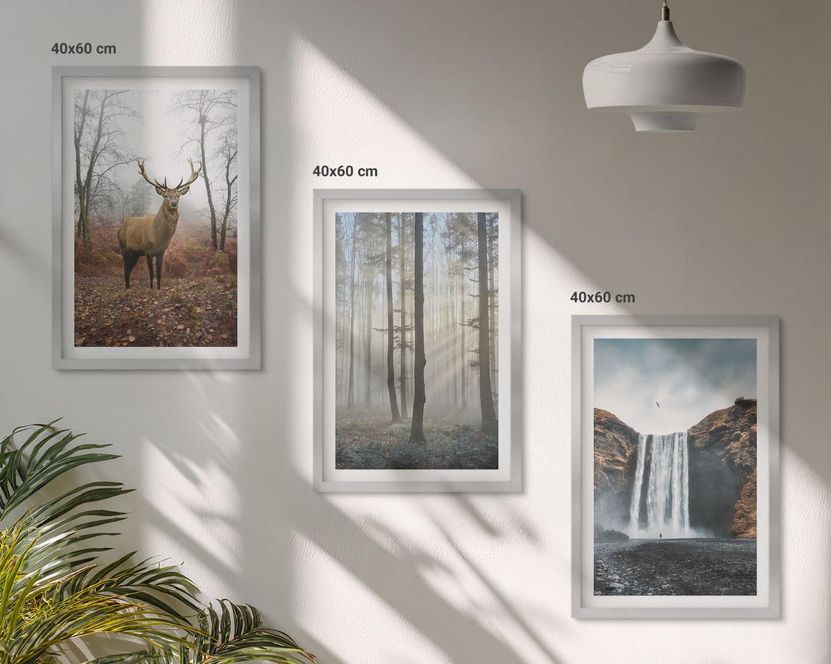 BILDER SET 3er Set - 40x60 cm Silberner Rahmen - Waldlandschaften, wilde Natur - Silberfarben, Kunststoff (40/60cm) - TULUP