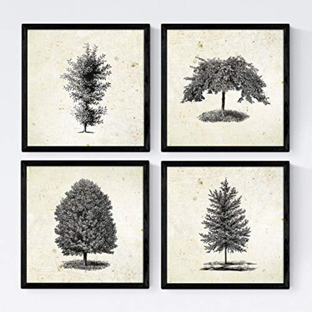 POSTER Set mit 4 Blättern der Bäume Zierbäume Jahrgang Hintergrund 20x20cm Schwarzer Rahmen - Schwarz, Papier (20/3cm) - Nacnic