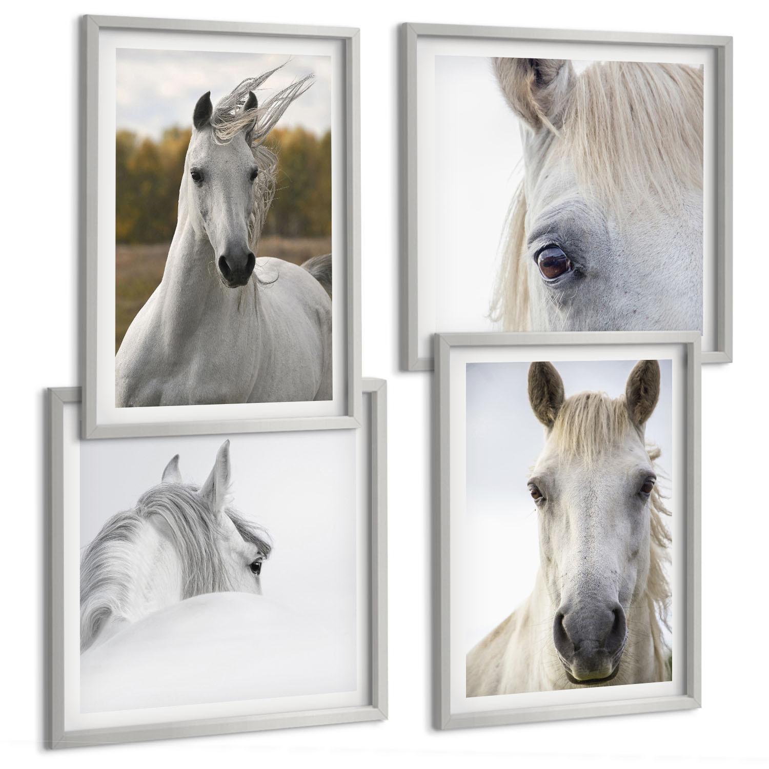 BILDER SET 4er Set - 50x50 cm & 40x60 cm Silberner Rahmen - Weiße Pferde - Silberfarben, Kunststoff (50/50cm) - TULUP