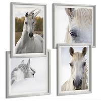 BILDER SET 4er Set - 50x50 cm & 40x60 cm Silberner Rahmen - Weiße Pferde - Silberfarben, Kunststoff (50/50cm) - TULUP
