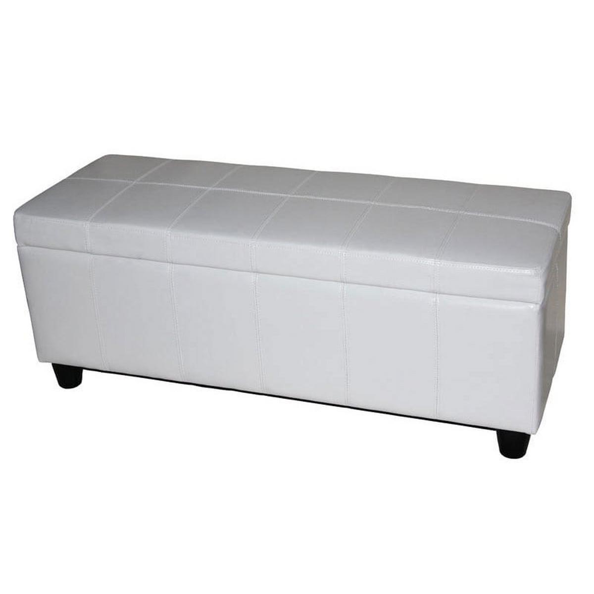AUFBEWAHRUNGS-TRUHE Weiß - Weiß, Leder (112/45/45cm) - MCW